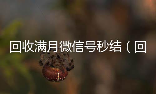 回收满月微信号收购微信号24小时在线秒结平台秒结（回收3月以上微信号）