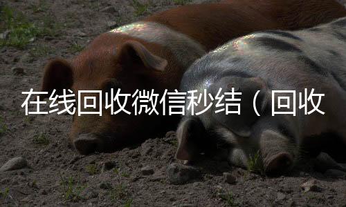 在线回收微信哪些平台回收vx秒结（回收微信秒结账）