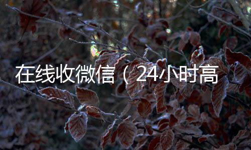 在线收微信（2回收vx秒结4小时高价回收vx秒结）
