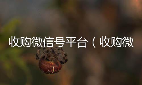 收购微信号平台高价收v（收购微信号平台违法吗）