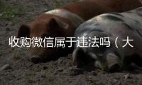  收购微信属于违法吗（大量收购微信）