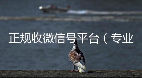 正规收微信号出售微信24小时在线回收平台（专业收微信号）