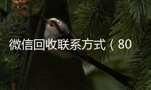 微信回收联系方回收微信号官网式（800收一年以上微信号）