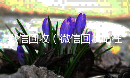 微信回收（微信号收购24小时微信回收站在哪里找）