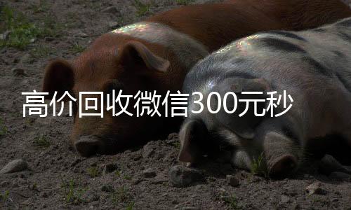 高价回收微信300收微信号400至1000一个元秒结（高价回收微信价格参照表）