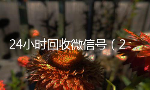 24小时回收微信收微信号的正规平台号（24小时回收微信号怎么弄）