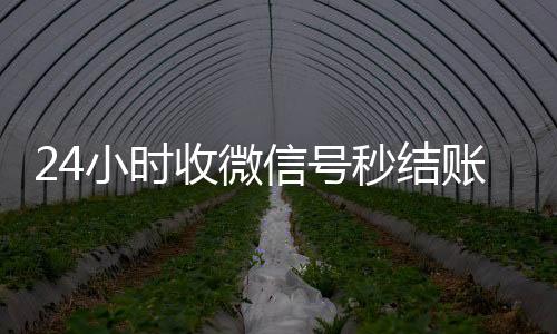 24小时收微信号24小时vx回收平台秒结账（有没有收微信号秒结账的）