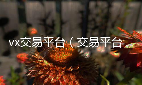 vx交易平高价回收vx平台台（交易平台微信）