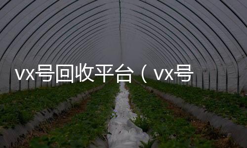 vx号回收平高价收微信号秒结台（vx号回收平台秒接）