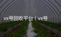 vx号回收平台（vx号回收平台网）